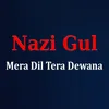 About Mera Dil Tera Dewana Song