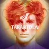 About Tarantola Song