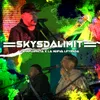 About SkysTheLimit Song