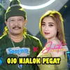 About Ojo Njalok Pegat Song