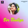 About Tor Bindiya Song