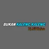 About Bukan Kaleng Kaleng Song