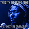 Tribute To Peter Tosh