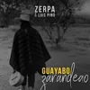 About Guayabo Zarandeao Song