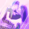 About Don't Forget Song