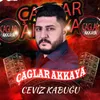 About Ceviz Kabuğu Song