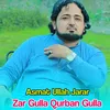 Zar Gulla Qurban Gulla
