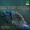 Bird Spirit Dreaming: II. Serenade and Love Duet