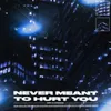 About never meant to hurt you Song