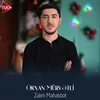 About Zalım Məhəbbət Song