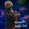 About Naangellan Matta Case Song