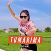 About Tumarima Song