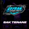 About Sak Tenane Song