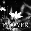 About Flower Song