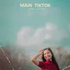 About MAIN TIKTOK Song