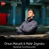 About Qarabağ Azərbaycandır Song