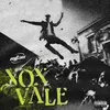 About non vale Song