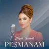 About Peşmanam Song