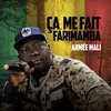 About ARMÉE MALI Song