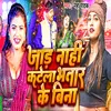 About Jaad Nahi Katela Bhatar Ke Bina Song