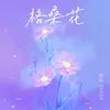 格桑花