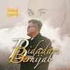 About Bidadari Berhijab Song