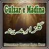  Gulzar E Madina