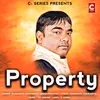 About Property Song