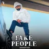 About FAke People Song