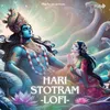 About Hari Stotram - Lofi Song