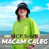 About Macam Caleg Song