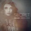 About Secret Song