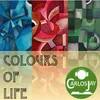 About Colours of Life Song