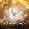 About Pane del cielo Song