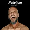 About Nedeljom Song