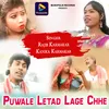 About Puwale Letad Lage Chhe Song