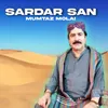Sardar San