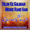 About  Dilun Ke Gulshan Mehek Rahe Hain Song