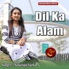 About Dil Ka Alam Song