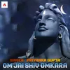 About Om Jai Shiva Omkara Song