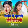 About Palang Pe Chuski Lebe Jethani Song