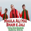 About Maula Ali Hai Shair E Jali Song