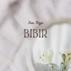 About Bibir Song