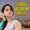 Zindgi Jo Safar Akelo