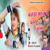 About Banadi Phone Pe Par Love You Boli Song