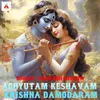 About Achyutam Keshavam Krishna Damodaram Song