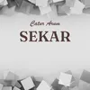 About Sekar Song