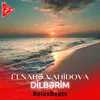 About Dilbərim Song