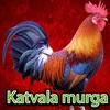 About Katvala murga Song