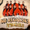 About No Regreses Song